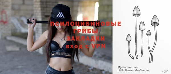 ECSTASY Новокубанск