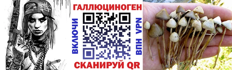 Купить где  Талдом  Псилоцибиновые грибы ЛСД 