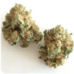 Шишки "White Widow"  (Белая вдова)  Гидропоника -  Бошка VHQ в Талдоме